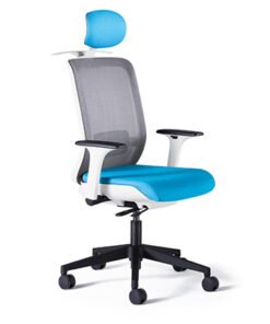 ICON Neutral Posture