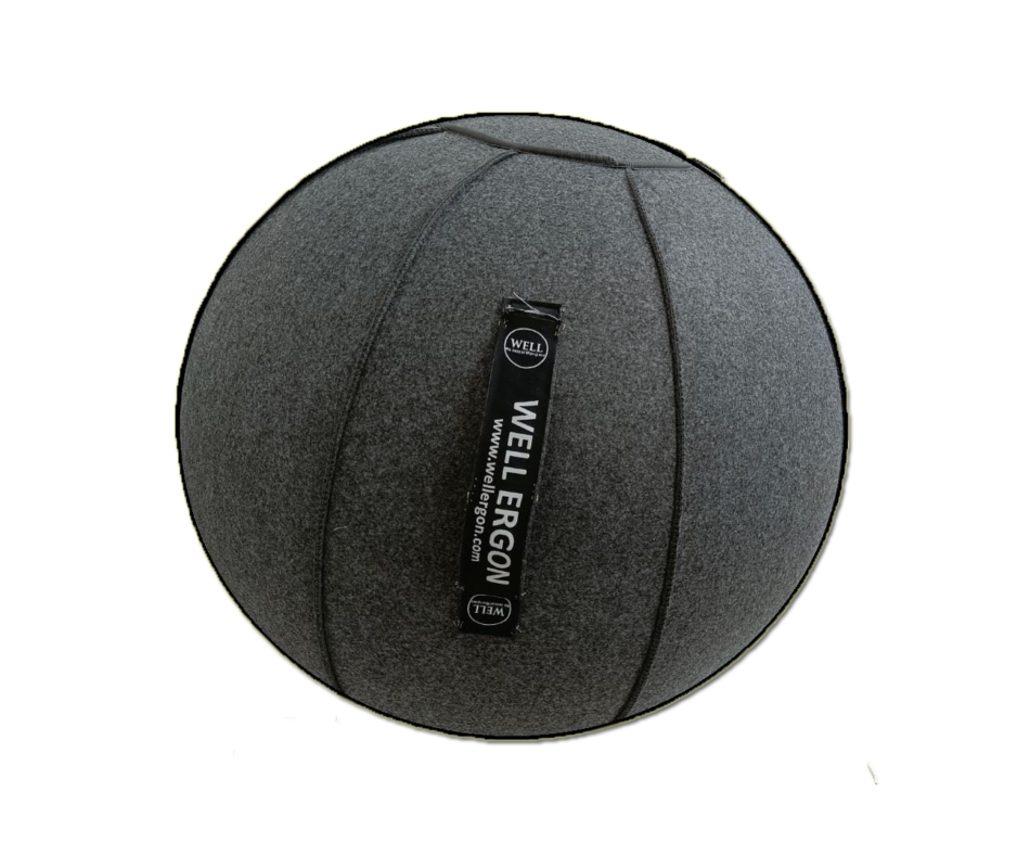 Ergo Ball