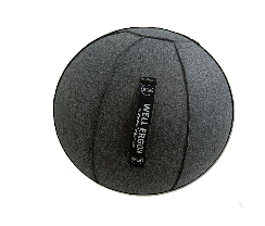 Ergo Ball | Fitness Ball - Eb06