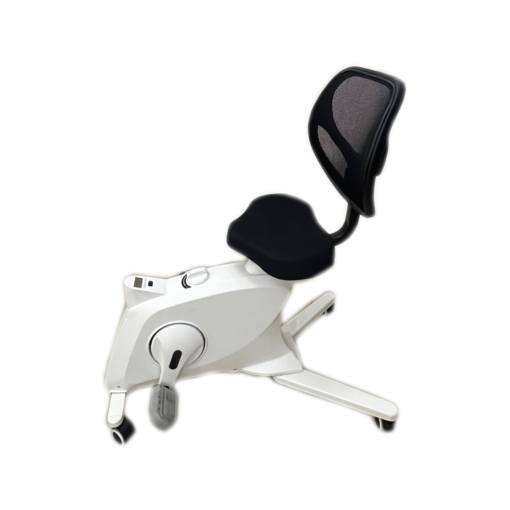Cycle Chair (EB-07)