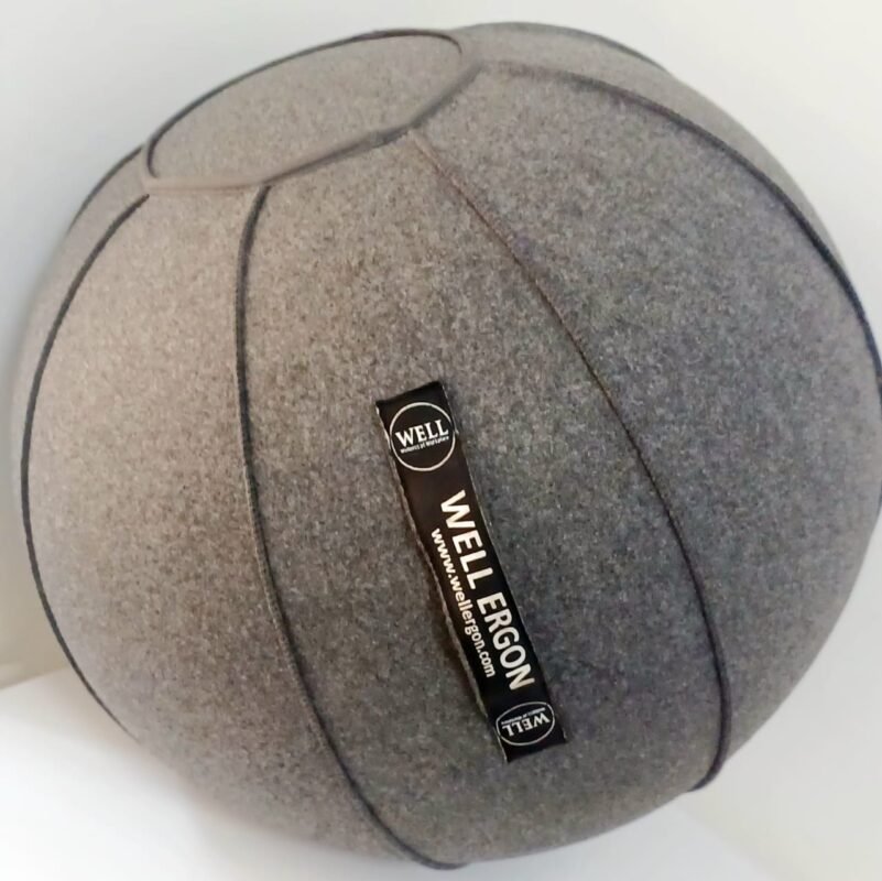 Ergo Ball