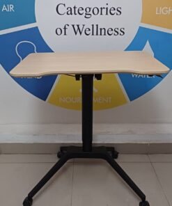 Laptop Sit & Stand Desk (LS-101)