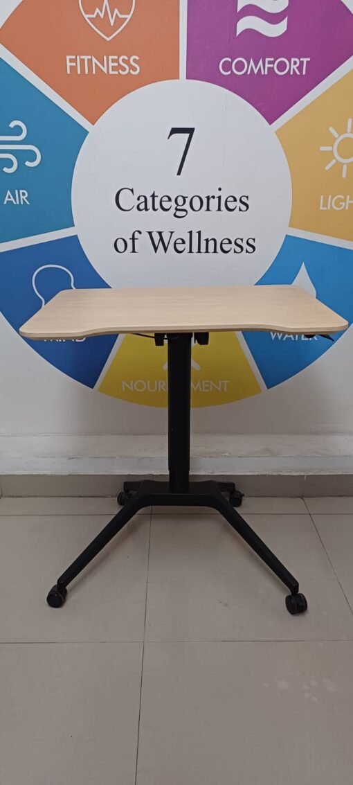Laptop Sit & Stand Desk (LS-101)
